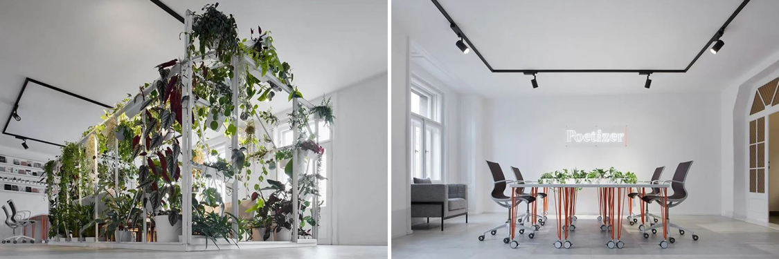 ����9888��˹ά��˹װ����ƹ�˾ͼ��